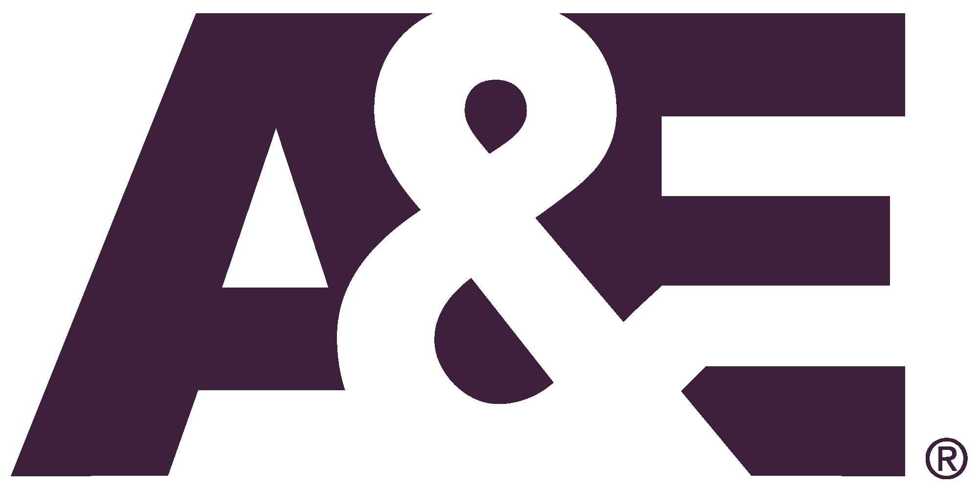 AE Network Logo Purple