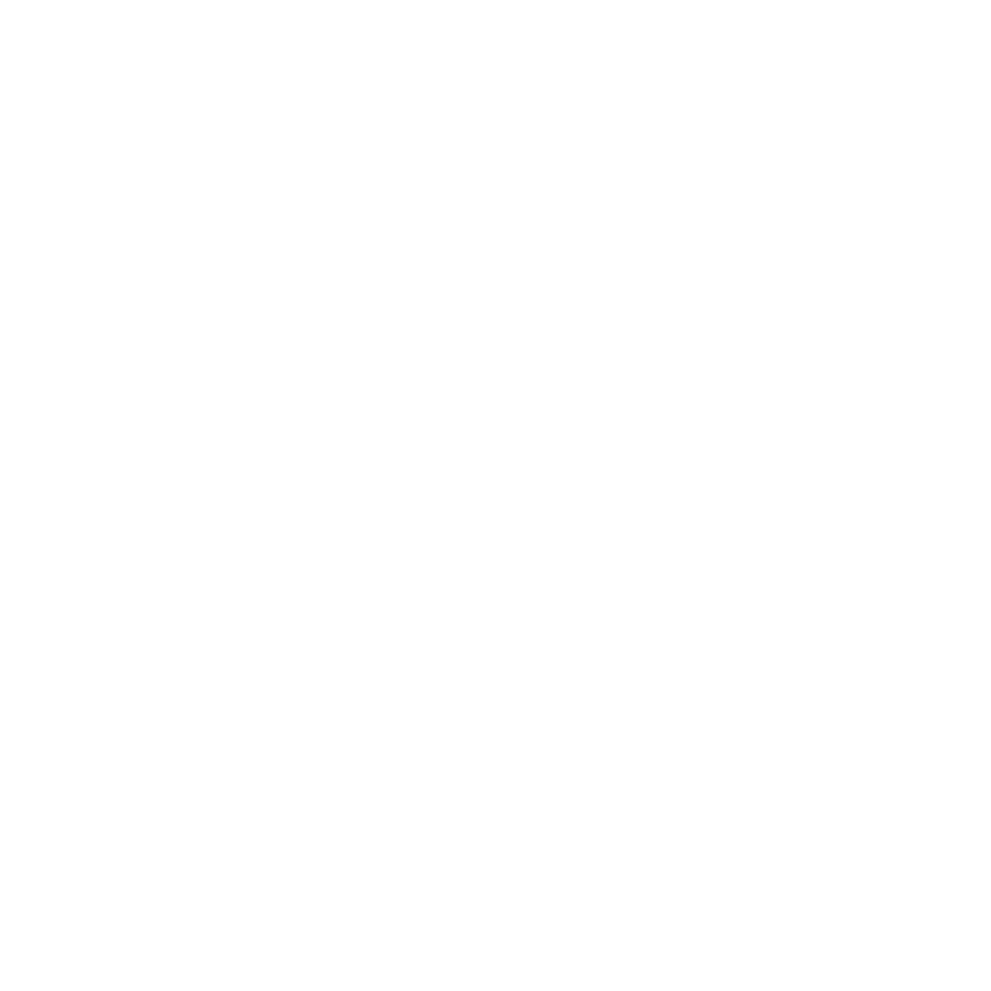 Ntonic Logo white